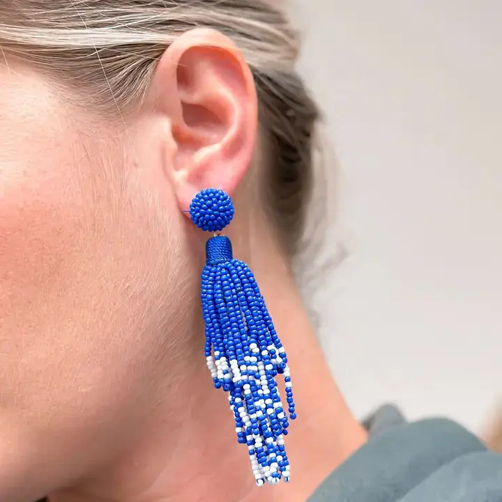 Blue & White Fringe Dangle Earrings